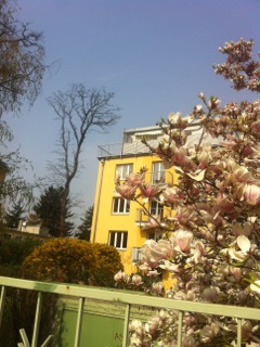 Blick auf das Haus